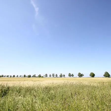 Ferienhaus Mit Eigener Sauna, Kamin Und Garten - Ferienhaus Leuchtturm * Glowe